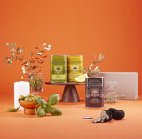 Geschenkset von A L'Olivier mit ausgewählten aromatisierten Olivenölen. Präsentiert werden Basilikumöl, Zitronenöl aus Nizza und schwarzes Trüffelöl, dekoriert mit frischen Kräutern, Oliven und Trüffeln. Ideal als Feinkost-Geschenk für Genießer mediterraner Spezialitäten.