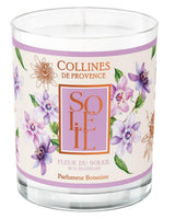 Duftkerze Sonnenblume 180 g