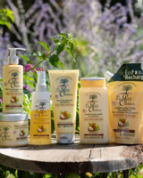 Le Petit Olivier Spülung mit Olivenöl, Sheabutter und Arganöl auf Holzuntergrund mit Blättern und Blüten