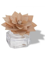 Holzduftblume Mandarine-Bergamotte 100 ml