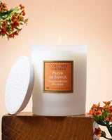 Collines de Provence Duftkerze Sandelholzblüte in weißem Glas mit Keramikdeckel, dekorativ arrangiert mit orangefarbenen Blüten