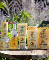 Le Petit Olivier Haarpflegeserie mit Shampoo, Spülung, Haarmaske, Leave-in Pflegespray, Leave-in Haarcreme und Nachfüllbeutel mit Olivenöl, Sheabutter und Arganöl