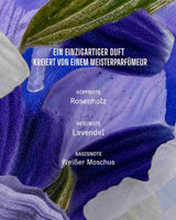 Duftpyramide von Panier des Sens Lavendel aus der Provence mit Rosenholz als Kopfnote, Lavendel als Herznote und weißem Moschus als Basisnote vor floralem Hintergrund in Violetttönen
